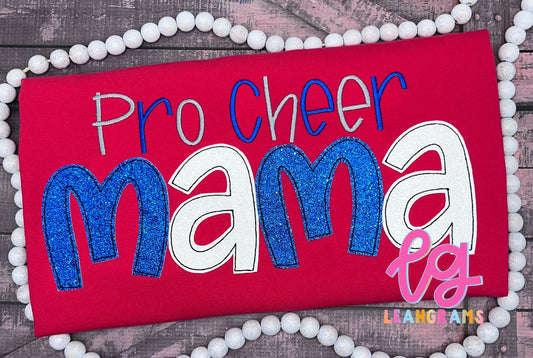 Pro Cheer *Special Name* Applique Shirt - Adult